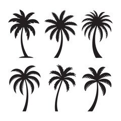 Set palm tree Silhouette Vector Illustration  Design