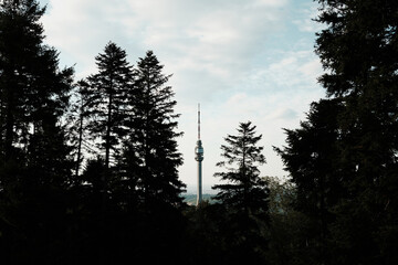 Avala TV Tower in Belgrade, Serbia, seen through a dense frame of trees on a cloudy day. Viewpoint from Avala hill.