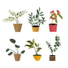 Indoor Potted Plant Botanical Vector Set Collection Illustration