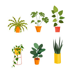 Indoor Potted Plant Botanical Vector Set Collection Illustration