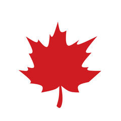 Red maple leaf 