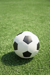 Fototapeta premium Soccer Ball on Green Grass Field. Football stadium background. Vertical.