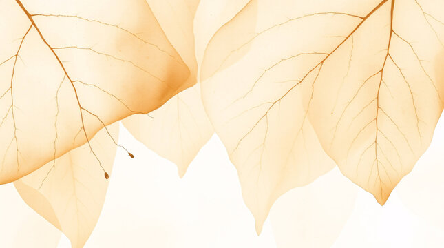 leaf, close-up, nature, texture, detail, vibrant, yellow, orange, autumn, fall, plant, flora, botanical, organic, natural, light, bright, vivid, warm, glow, sunlight, golden, rich, depth, pattern, vei