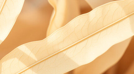 leaf, close-up, nature, texture, detail, vibrant, yellow, orange, autumn, fall, plant, flora, botanical, organic, natural, light, bright, vivid, warm, glow, sunlight, golden, rich, depth, pattern, vei