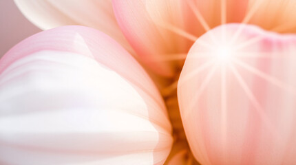 Abstract design of overlapping leaves in pink and blue tones, creating a serene pattern.
