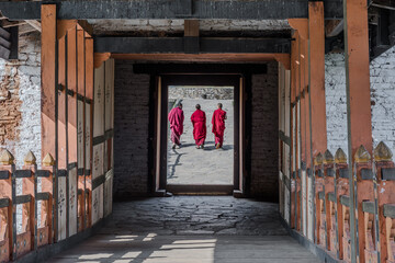Monks walk to their monastery in Bhutan