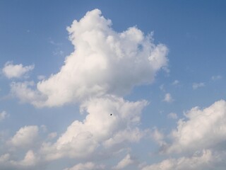 A vibrant blue sky filled with fluffy, white cumulus clouds, creating a serene and picturesque scene. A small bird is faintly visible, adding a touch of life to the tranquil atmosphere.