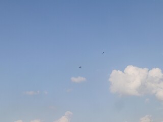 A vibrant blue sky filled with fluffy, white cumulus clouds, creating a serene and picturesque scene. A small bird is faintly visible, adding a touch of life to the tranquil atmosphere.