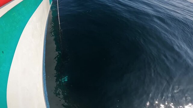 Water Clarity Test with Secchi Disk in Open Sea