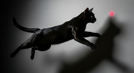 Fototapeta premium Dynamic Capture of a Black Cat Leaping Through the Air Chasing a Red Laser Dot, Showcasing Excitement and Playfulness in a Dramatic Indoor Setting