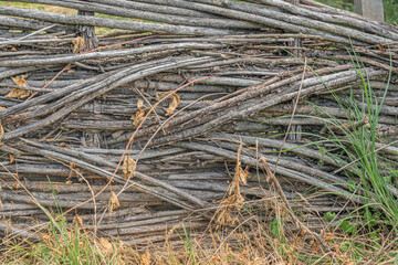 Ancient Central European village scene, old wooden fence with weathered vertical logs, grey-brown hues, leaning logs, overgrown vegetation, natural lighting, candid photography