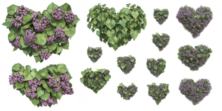 Floral heart shapes collection on transparent png background