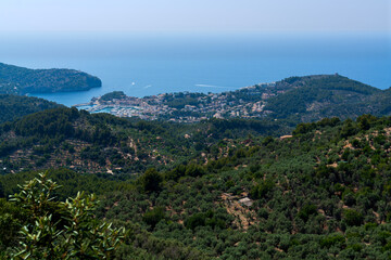 Naklejka premium View towards the harbour at Soller, Mallorca