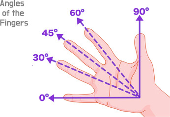 Measuring angles with fingers of outstretched hand. 15, 30, 45, 60, 90 degrees, protractor trigonometry lesson. Approximate estimate. vector illustration