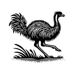 Fototapeta premium Emu hand draw engrave icon design black white