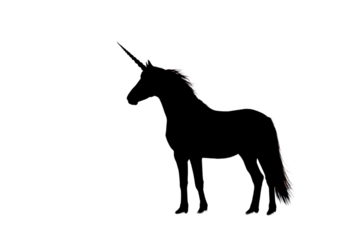 Dark Silhouette Of Horse Illustrative Night Background with Sparkles