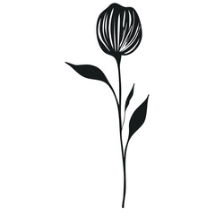 Elegant vector illustration of a stylized black flower with linear textured petals and simple leaves, isolated on white background.