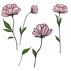 Elegant vector illustration of five stylized pink flowers with green leaves, showcasing a unique blend of line art and soft color shading, perfect for design projects needing a touch of delicate fl...