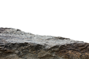 a bird perched on a rock in the middle of the day