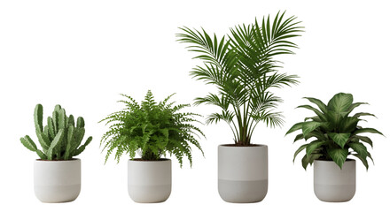Isolated Green Plants In White Pots On Transparent Background Illustration