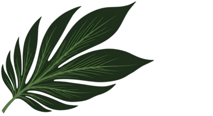 Dark Green Leaf Isolated Illustration On A Transparent Background