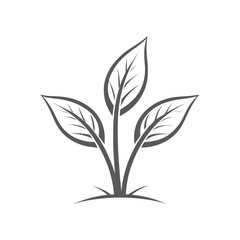 Simple dark grey plant sprout with three leaves on white background seedling growth