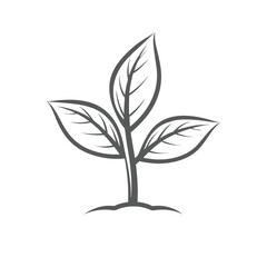 Simple gray outline of a young plant with three leaves growing from soil sprout seedling