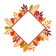 Frame with autumn leaves and berries