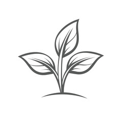 Stylized gray plant sprout with three leaves on a white background leaf growth