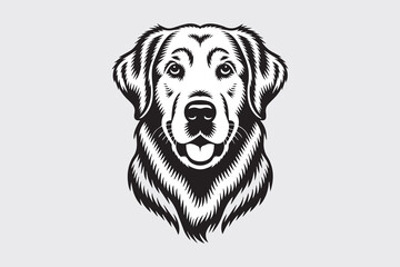 golden retriever dog illustration vector