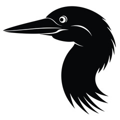 Fototapeta premium black crowned crane