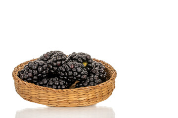 Juicy sweet blackberry isolated on white background, macro.