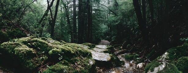 壮大な自然が持つ威厳を感じさせる背景