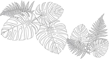 Monstera Fern Leaf Illustration Botanical Sketch in Gray