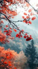 Autumn Leaves on Branch in Forest with Foggy Background
