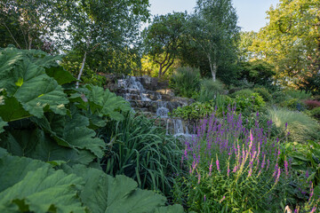 Regent's Park im Sommer in London