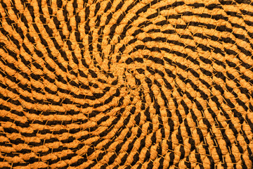Detailed close-up of a handwoven design featuring concentric spiral patterns in earthy brown and black hues. Ideal for use in backgrounds, sustainable design themes, traditional crafts.