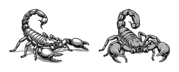 Two aggressive scorpions monochrome vector illustration