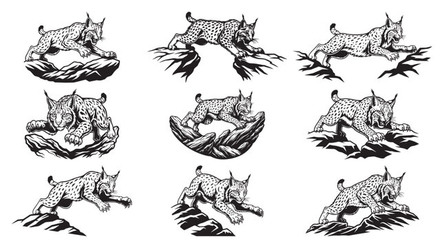 Wild lynx mascot vector illustration set