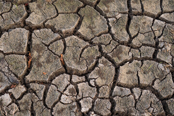 Detailed Cracked Dry Earth Texture Brown Dry Soil Arid Land Background