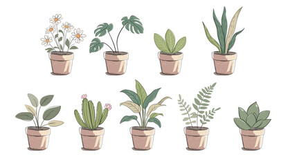 Hand drawn plants in pots. Monstera, daisy, succulent, cactus. Pastel marker sketch style