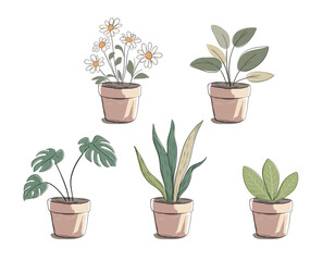 Hand drawn plants in pots. Monstera, daisies, succulent, sansevieria. Pastel marker sketch style