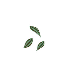 three fallen leaves without a background
