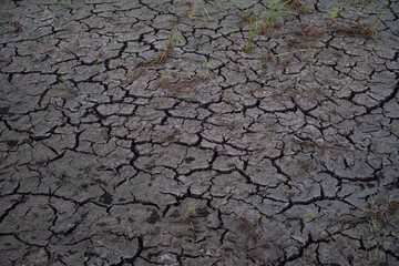 Dry Cracked Earth Texture Background