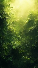 Sunlight Streaming Through Lush Green Canopy in Forest