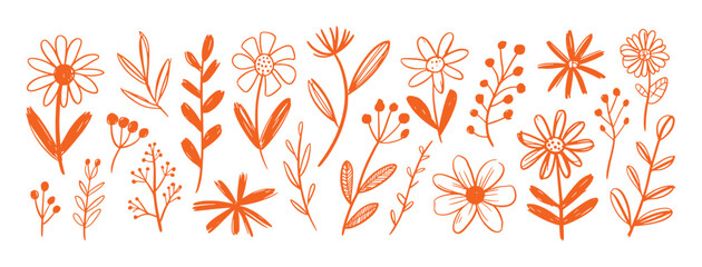 Orange floral botanical elements and leaves vector