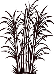 Silhouette illustration of sugarcane plants with detailed leaves and stems on white background