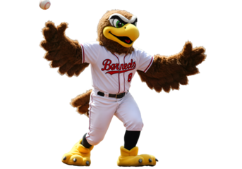 Funny Baseball Mascot Eagle Character Illustration On Isolated Background