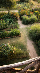Lush greenery fills the garden as vibrant plants bloom under the warm afternoon sun. Winding paths invite exploration amongst the carefully designed natural elements