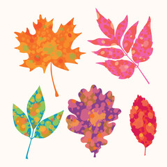 A colorful artistic set of autumn leaves that showcases a variety of shapes and shades. The detailed texture of the colored spots on the leaves.  for designing postcards, patterns, and banners.